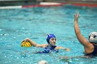 WWPolo vs CC  Wheaton College Women’s Water Polo compete in their sports inaugural match vs Connecticut College. - Photo By: KEITH NORDSTROM : Wheaton, water polo, inaugural